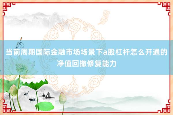 当前周期国际金融市场场景下a股杠杆怎么开通的净值回撤修复能力