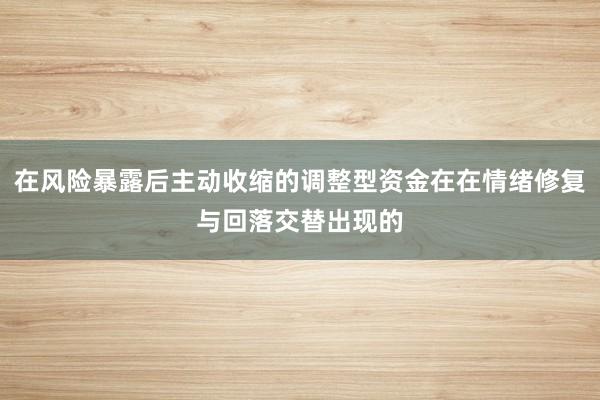 在风险暴露后主动收缩的调整型资金在在情绪修复与回落交替出现的