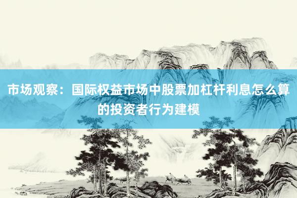 市场观察：国际权益市场中股票加杠杆利息怎么算的投资者行为建模
