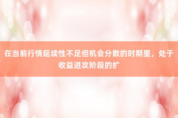 在当前行情延续性不足但机会分散的时期里，处于收益进攻阶段的扩