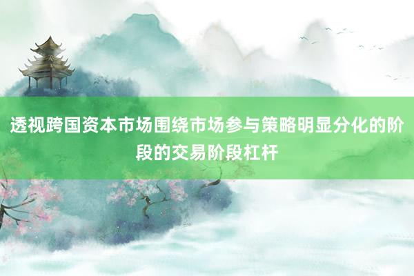 透视跨国资本市场围绕市场参与策略明显分化的阶段的交易阶段杠杆