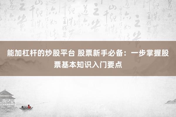 能加杠杆的炒股平台 股票新手必备:一步掌握股票基本知识入门要点